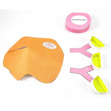 Load image into Gallery viewer, vaccinations origami organelle