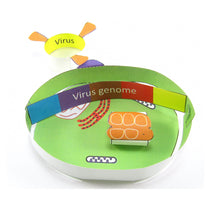 Load image into Gallery viewer, Virus Life Cycle origami organelle