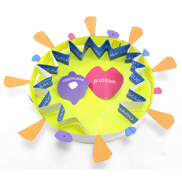 Coronavirus model out now