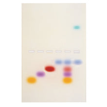 Load image into Gallery viewer, 101 Principles and Practice of Agarose Gel Electrophoresis