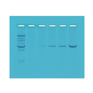 103 PCR - Polymerase Chain Reaction