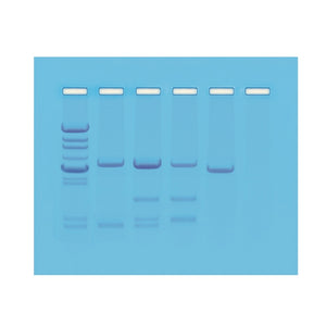 Edvotek 114 DNA Paternity Test Simulation