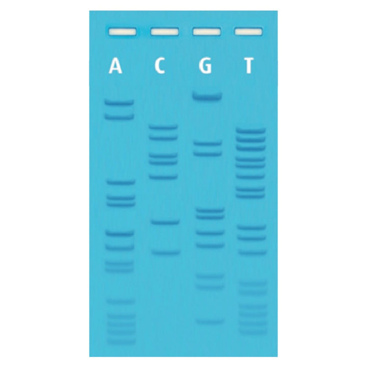 Edvotek DNA Kits – Page 2 – Discovering DNA