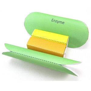 enzymes origami organelle