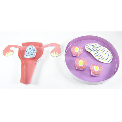 IVF origami organelle