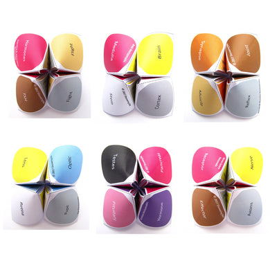 Nervous System Revisomatics Bundle