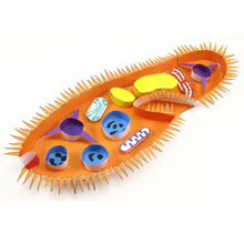Load image into Gallery viewer, paramecium origami organelle