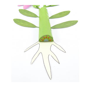 parts of a plant origami organelle