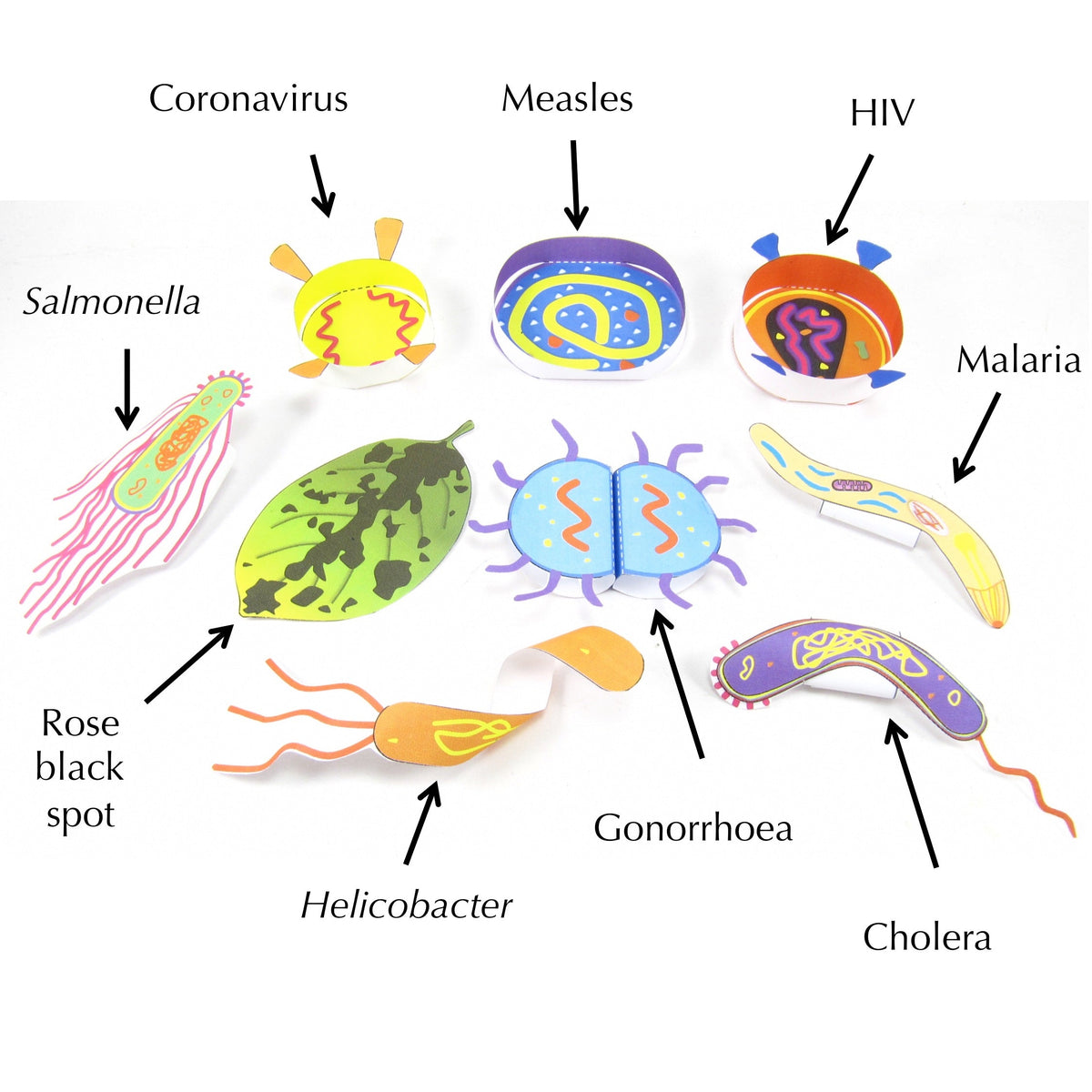Pathogens – Discovering DNA