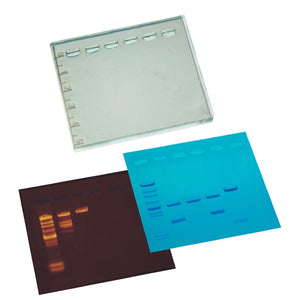 edvotek S-43-20 DNA Duragel